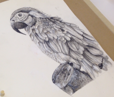 Amazing Drawing & Paintings (Adult/Teen) - Fall 1