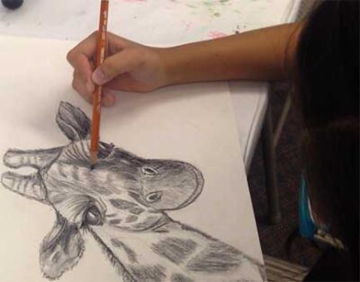 Learn To Draw & Paint (Kids) - Fall 2