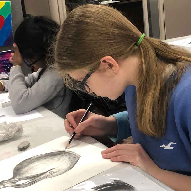 Learn To Draw & Paint (Kids) - FALL - 2026